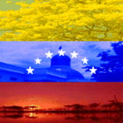 DiarioDeLara's profile picture. Somos el Diario Digital De Lara. Todas las noticias nacionales, internacionales, deportiva, entretenimiento y más!