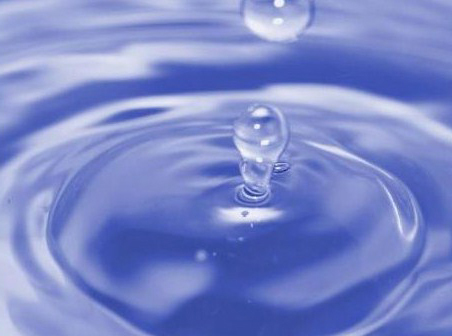 eau_osmosee's profile picture. Eau osmosé