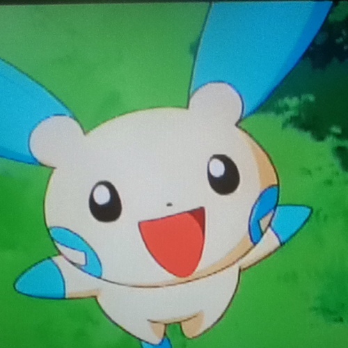 I am a cheering Pokemon from LaRousse city!! I love to dance and cheer on my friends!! My trainer is @HoennCaretaker ! ^_^ XD ♀ Female #RolePlay #RP #PT