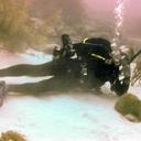 Dr. Lance Farr - @farrbetterscuba - Twitter
