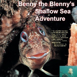 A real fish, a tompot blenny, speaks out and now blogs about about life under the waves. Uses  amazing underwater photographs to tell his story. Visits  schools