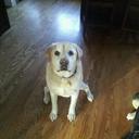 Travis Clancy - @ClancyTravis - Twitter