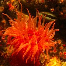 The oceans need our attention. Read Ocean News, Information and Discussions at http://t.co/WfCVB2hrmw