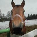 debra medlock - @marshmell - Twitter