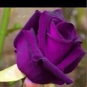 فلسسفہ ..♧ - @AveryHolman3 - Twitter