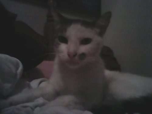 Hola, Soy Chilo :))) Amo mi Vida y Mi hogar :3