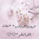 منصور الذيابي - @DarylConner2 - Twitter