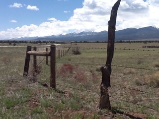 hummd47's profile picture. 