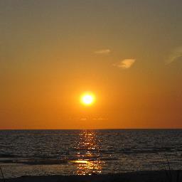 dlpetri's profile picture. 