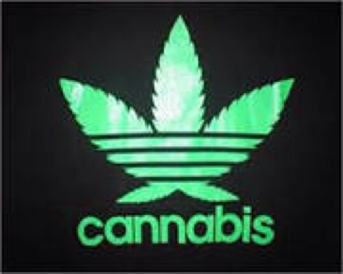 [ StuffStonersLikeTwitter@yahoo.com ]