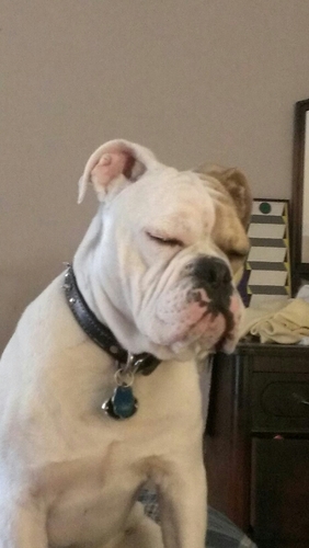 rcasewst's profile picture. My pronoun is pronoun
-Pronoun went to the store with Bob-