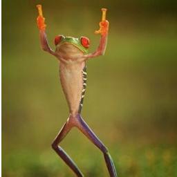 datguy1837's profile picture. 