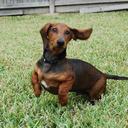 Patti Pierce Johnson - @pajohnson58 - Twitter