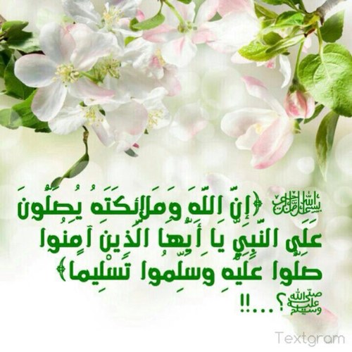 s1leh666's profile picture. 