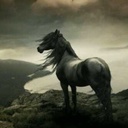 هادي القط - @JaimeCompton10 - Twitter