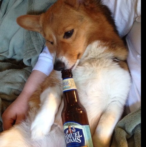 dpodgor's profile picture. 