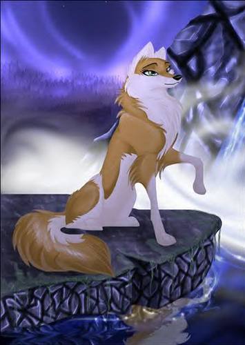 my name is Firebane... i am a wolf rescued by Jon, i lost my family, due to unfortunate events. Jon aka @rvbminn and i are friends #Single