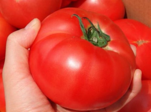 natsutoma7277's profile picture. トマト食べたいー！スタマイ、ドラマト、セラムン大好きなアラサー  無言フォロー多くてすみません！