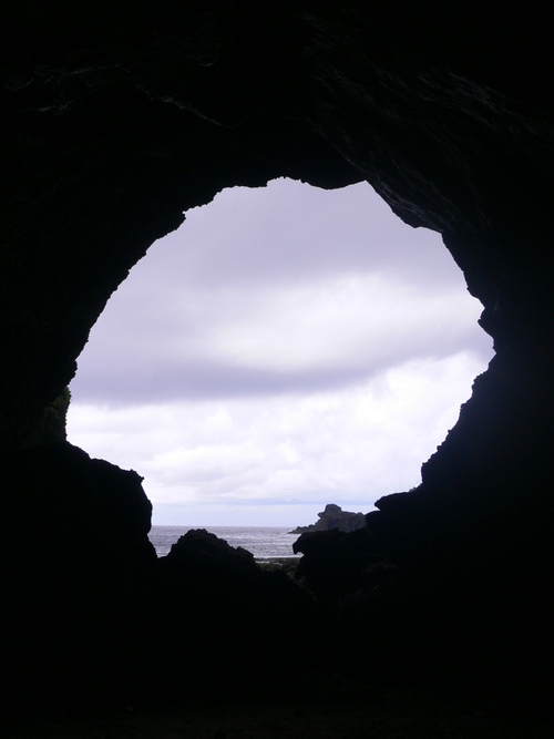 tony0410s's profile picture. 