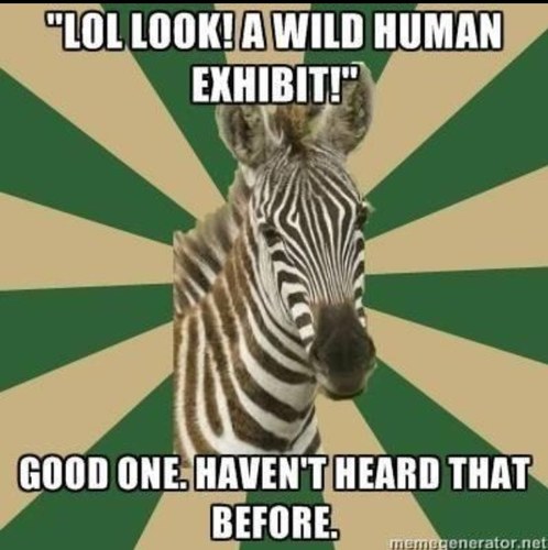 ZookeeperProbs's profile picture. Ever have a problem working with animals that no one else would understand? Yeah, we've all been there. Please send in your own #zookeeperproblems too!