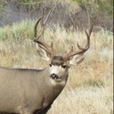 cody mathews - @lkvcody - Twitter