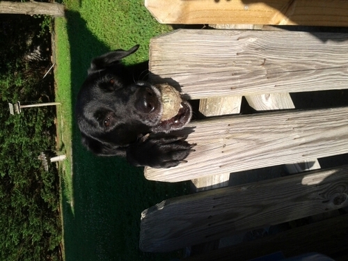 MITCH018's profile picture. 