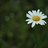 Hend_44's profile image