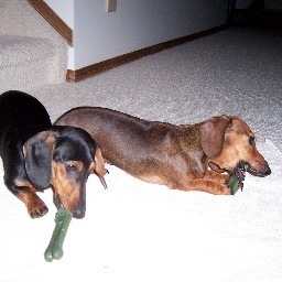 aneufeld's profile picture. 