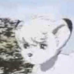I am Leo. I am a white lion, son of panja. My friends are Coco, Bucky, and Laiya.#Single
