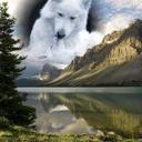 candice fields - @Mpozzible1 - Twitter