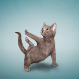 InstagramsVideo's profile picture. Funny Instagram Videos