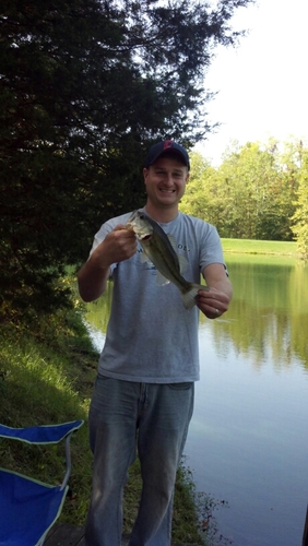 Jalbertz's profile picture. 