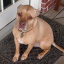 Terry Boylan - @BoylanTerry5 - Twitter