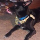 Patrick Sealy - @uhhuhokay - Twitter