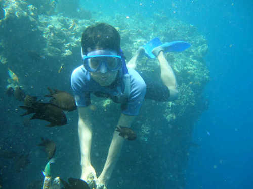 chelenganeank's profile picture. semua akan indah pada waktunya,selalu bermunajat & memohon ampun kepadanya,dmnpun & dlm kondisi apapun