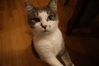 welbon_christa's profile picture. 