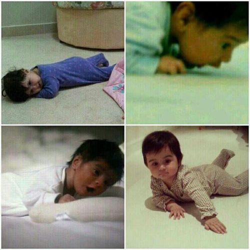 al.Qassim