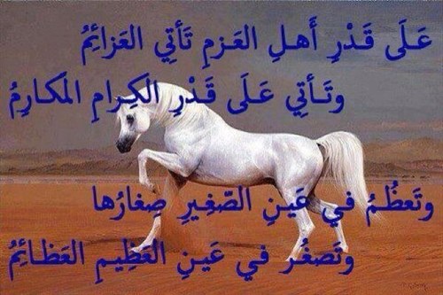 متى استعبدتم الناس وقد ولدتهم أمهاتهم أحرارااً                       ‏همتي همَّة ُ الملوكِ ونفسي  ‏نَفْسُ حُرٍّ تَرَى الْمَذَلَّة َ كُفْرَا ‏