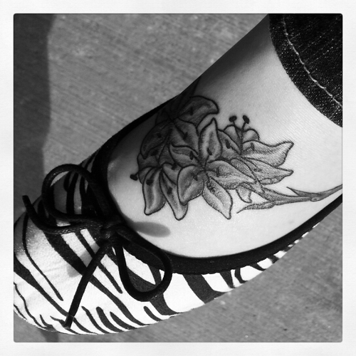 rbottom316's profile picture. 