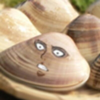 ハマグリヴァイbot 平安時代ではハマグリ の殻を使って 貝合わせ という遊びをしていたそうだ 同じ貝でしかピッタリ重ならないという特徴を生かした遊びだ 今で言う 神経衰弱 みたいなものだな