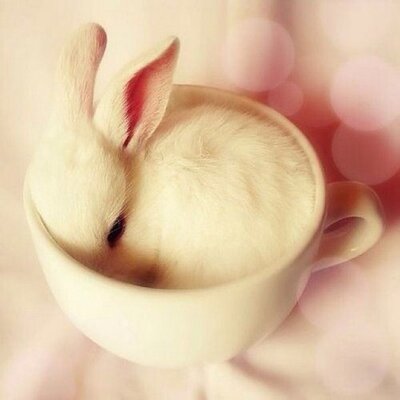 はるか