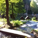 ملگه الأهليے - @LesaWebster17 - Twitter