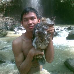 murbabuffon's profile picture. 