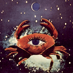 joygohm's profile picture. 