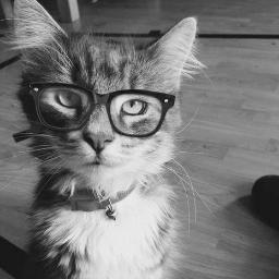 I_amdrunk's profile picture. Consumo pastas, de madrugada para aliviar un dolor, que nadie entiende.