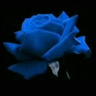ﻻ رصيد دو وﻻ اتصالات كاش بس.  بن كود 2B558C42 موبايل 00971509100979