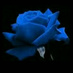 جنتل (@boahmad_a745il) Twitter profile photo جنتل (@boahmad_a745il) Twitter profile photo