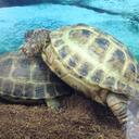 drew worthy - @drew_worthy - Twitter