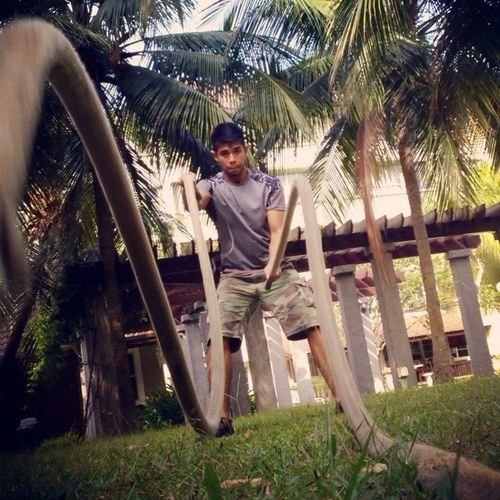 Fizzat's profile picture. The Head Performance Coach of JATT Training SYSTEMS. ACE-Certified Trainer and Training Executive @ Fit Malaysia. CSCS in the making. Train with me!