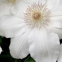 عبدالله الحارثي - @VernonBaxter4 - Twitter